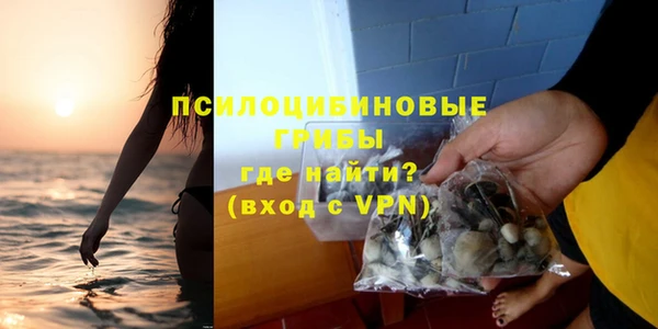 Альфа ПВП Володарск