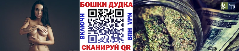 Купить где  Соликамск  Канабис семена 